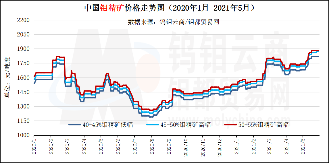 5月钼精矿走势图.png