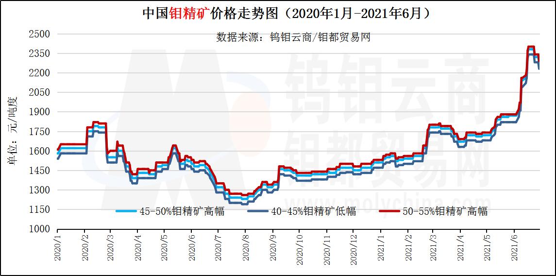 6月钼精矿走势图.jpg